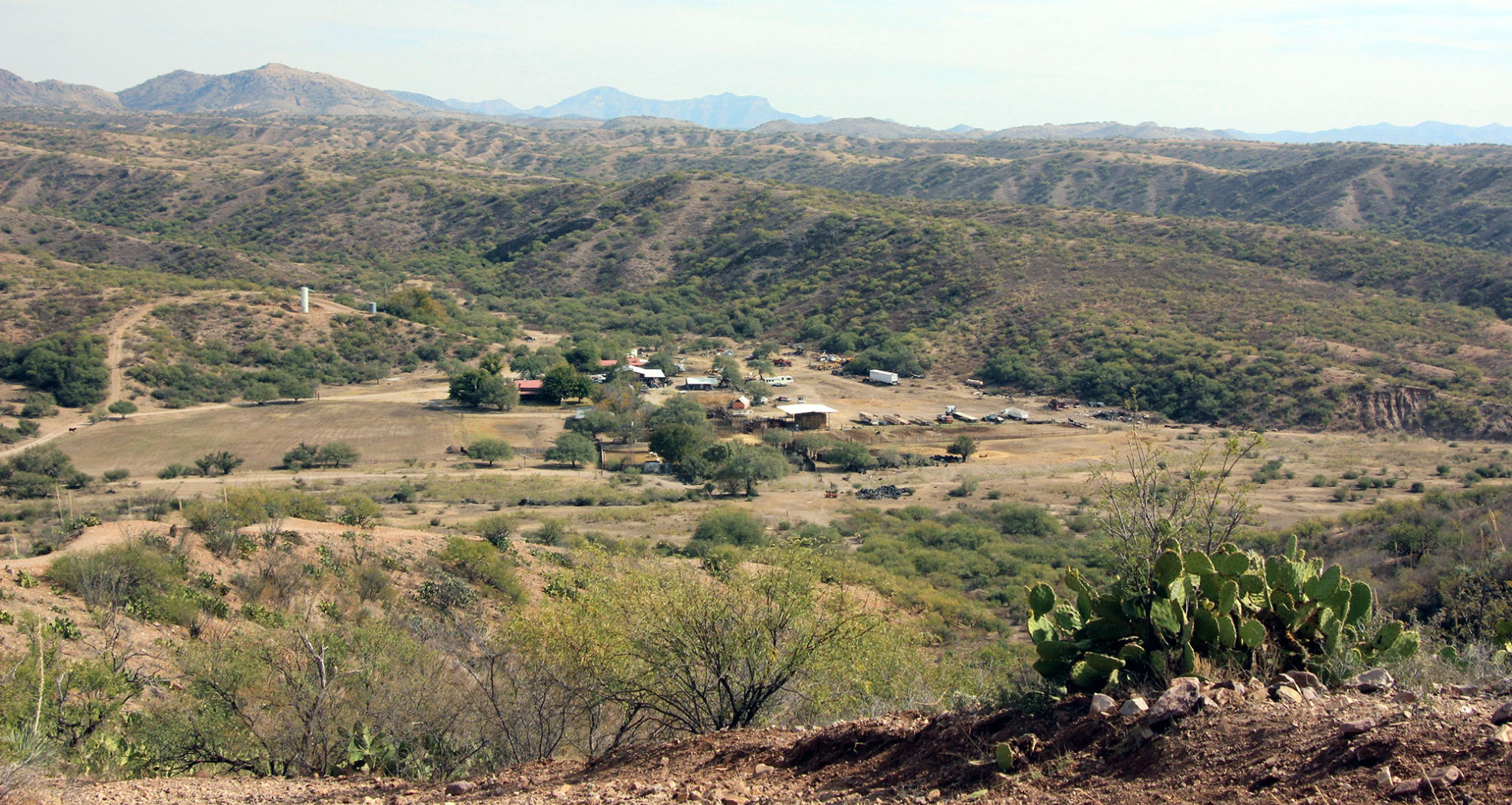 Ranch with cactus